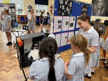 Year 6 Exhibition