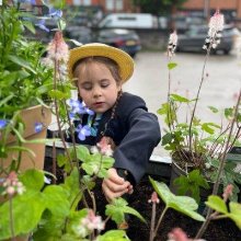 Year 2 Plant Flowers For Alderley Edge In Bloom